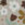 8720812817161_kleur_1