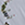 8719931694791_kleur_1