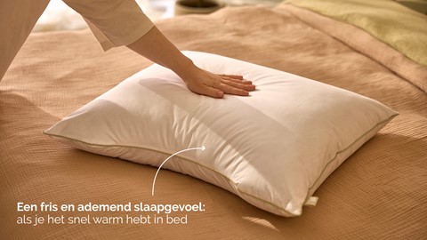Hoofdkussen B Bright Natural Bamboo