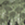 kleur-dbo_beddinghouse_lenn_groen_kaal