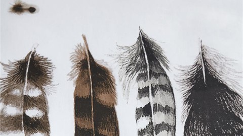 dbo_beddinghouse_wild_feathers_natural_detail