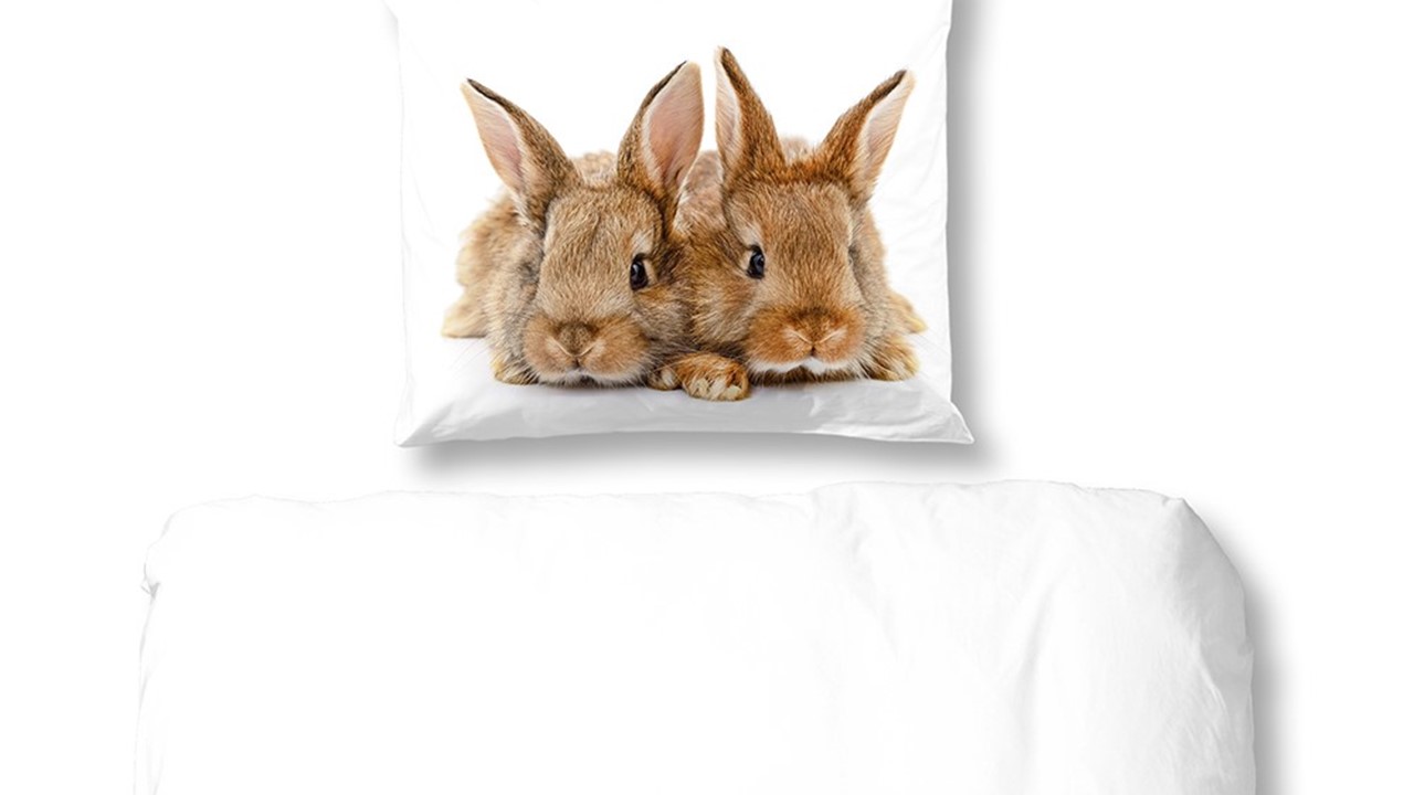 samenkomen Distributie Verslijten dekbedovertrek Rabbit | Beter Bed België