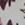 8720812817079_kleur_1