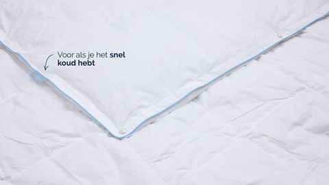 B Bright 4 seizoenen dekbed 60% dons