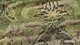 Dekbedovertrek Persian Rug, green