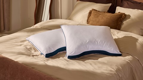 Hoofdkussen B Bright Adapt DownBlend