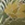 8720574531107_kleur_1