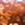 8720088095102_kleur_1