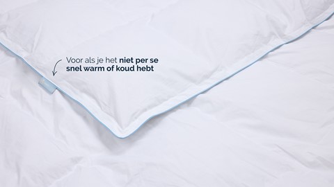 B Bright voor-/ najaar dekbed 60% dons