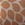 8720512248401_kleur_1