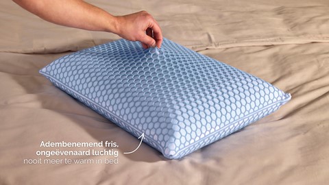 Hoofdkussen B Bright Airflex