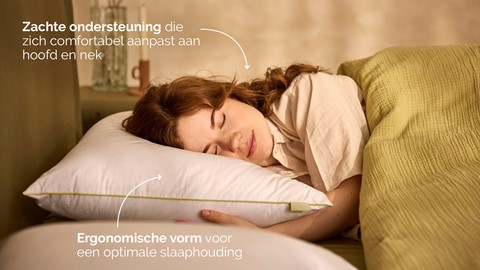 Hoofdkussen B Bright Natural Bamboo