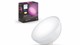 Verlichting Philips Hue Go White & Color