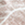 kleur- dbo_walra_leavestrees_2p_sfeer2