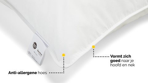 Hoofdkussen Bamboe