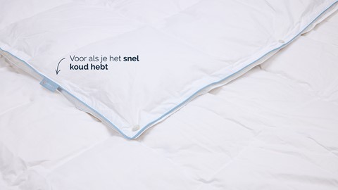 B Bright 4 seizoenen dekbed 30% dons
