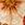 8719931486952_kleur_1