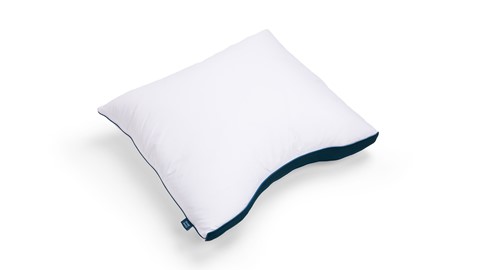 Hoofdkussen B Bright Adapt DownBlend