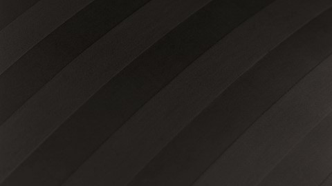 Dekbedovertrek Shine, black