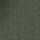 cape_turtule88_kleur_1