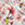 kleur-dbo_zoohome_jodie_multi_kaal