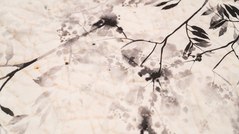 dbo_three_lillies_ume_naturel_detail