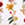 8715944812030_kleur_1