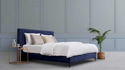 een bed met een plant ervoor