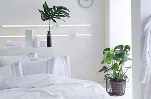Planten in je slaapkamer