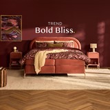 een bed met rood beddengoed en een tapijt in een kamer met kunst