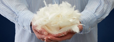 Iemand die een hoop witte veren vasthoudt