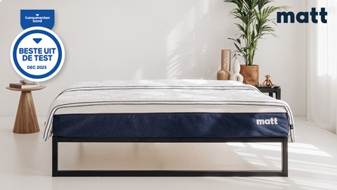 Een bed met een matras en een plant in een pot