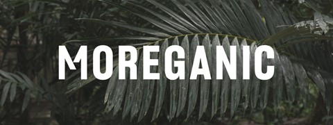 Een close-up van een blad