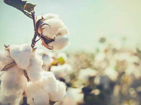 Natuurlijke materialen in je slaapkamer