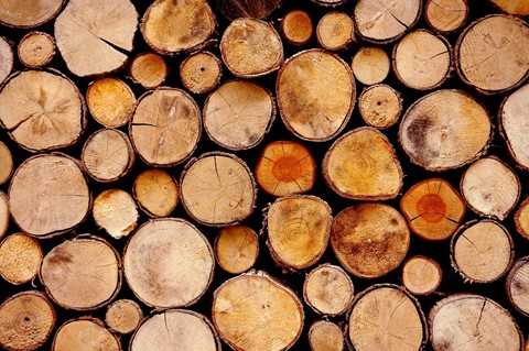 Hout