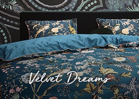 Trend Velvet Dreams